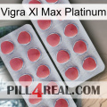 Vigra Xl Max Platinum 19